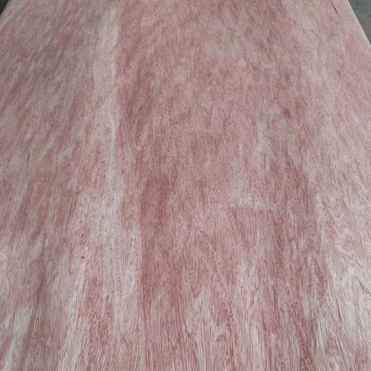 Bintangor furnir
